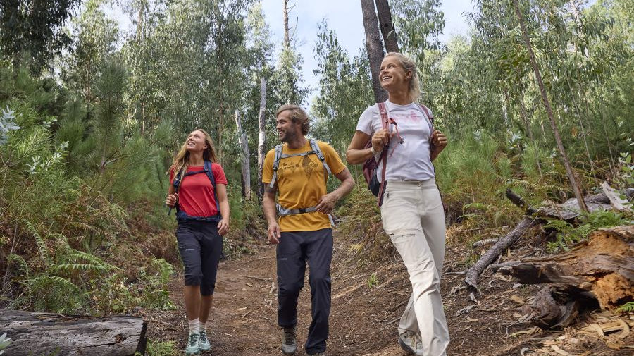 3 Personen laufen durch den Wald.