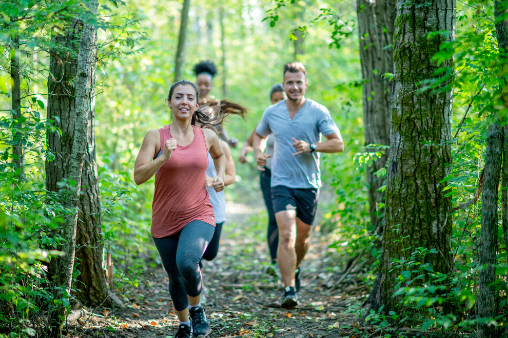 Eine Gruppe Menschen läuft joggt durch den Wald.