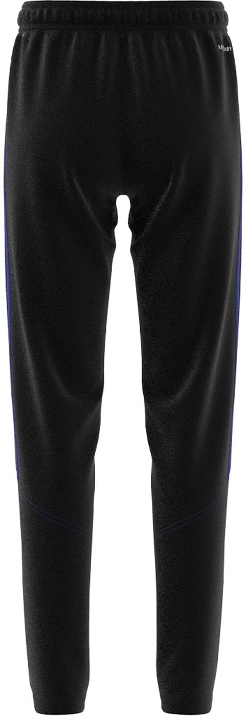 ADIDAS TIRO23 CBTRPNTY Fußballhosen ADIDAS