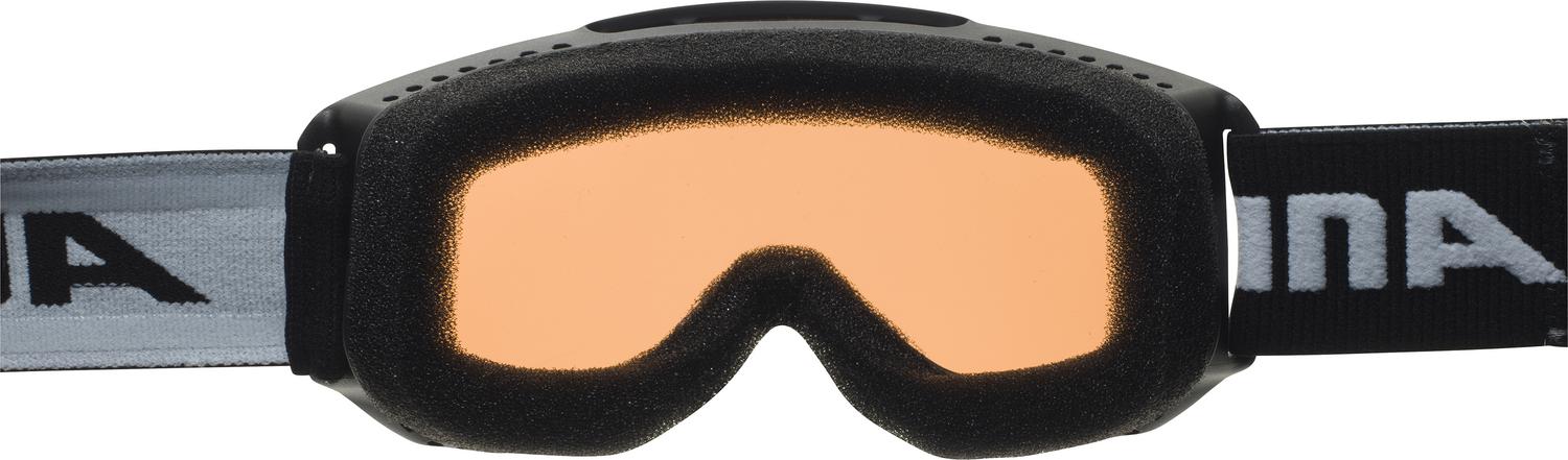 ALPINA Piney Skibrillen ALPINA