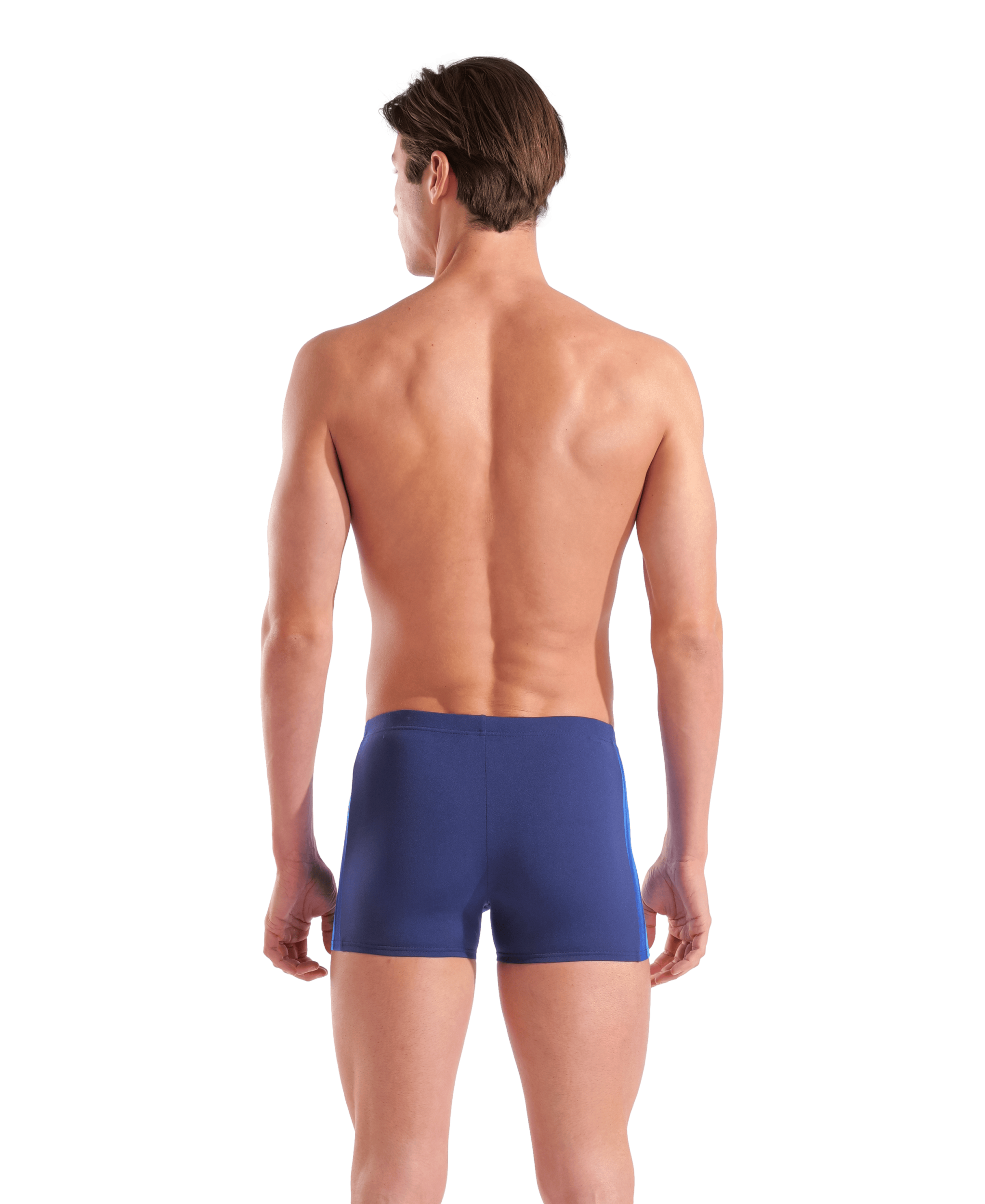 ARENA MEN'S ARENA TWO SIDES SWIM SHO Badehose ARENA HAYSTACK/HAYSTACK-VELVET BROWN 4