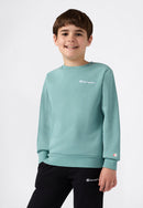 CHAMPION Crewneck Sweatshirt Pullover & Fleece CHAMPION