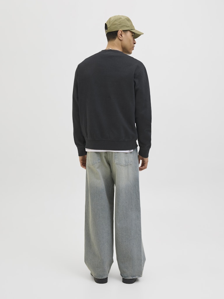 JACK & JONES JJEDOVER PRINT SWEAT CREW NECK Freizeitpullover JACK & JONES