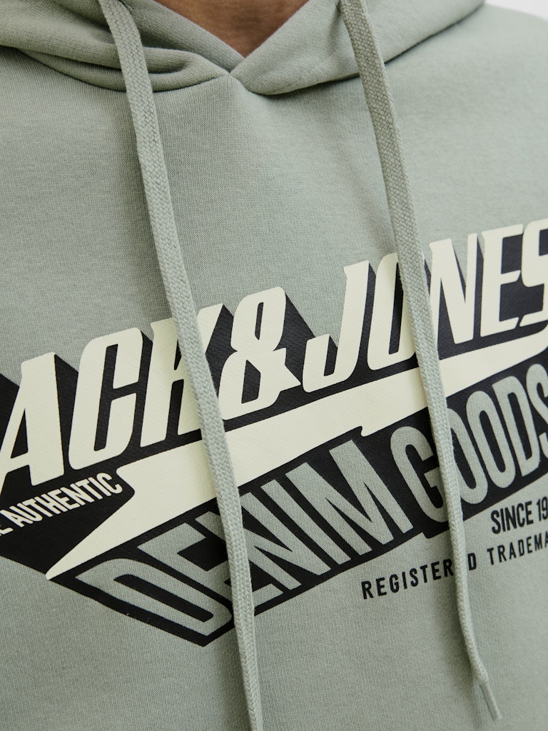 JACK & JONES JJELOGO SWEAT HOOD 2 COL 25/26 NOOS Freizeitpullover JACK & JONES