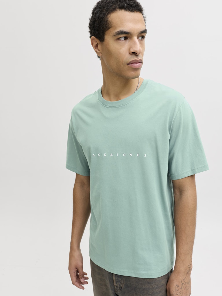 JACK & JONES JJESTAR JJ TEE SS NOOS Oceanview Freizeitshirts /-hemden JACK & JONES