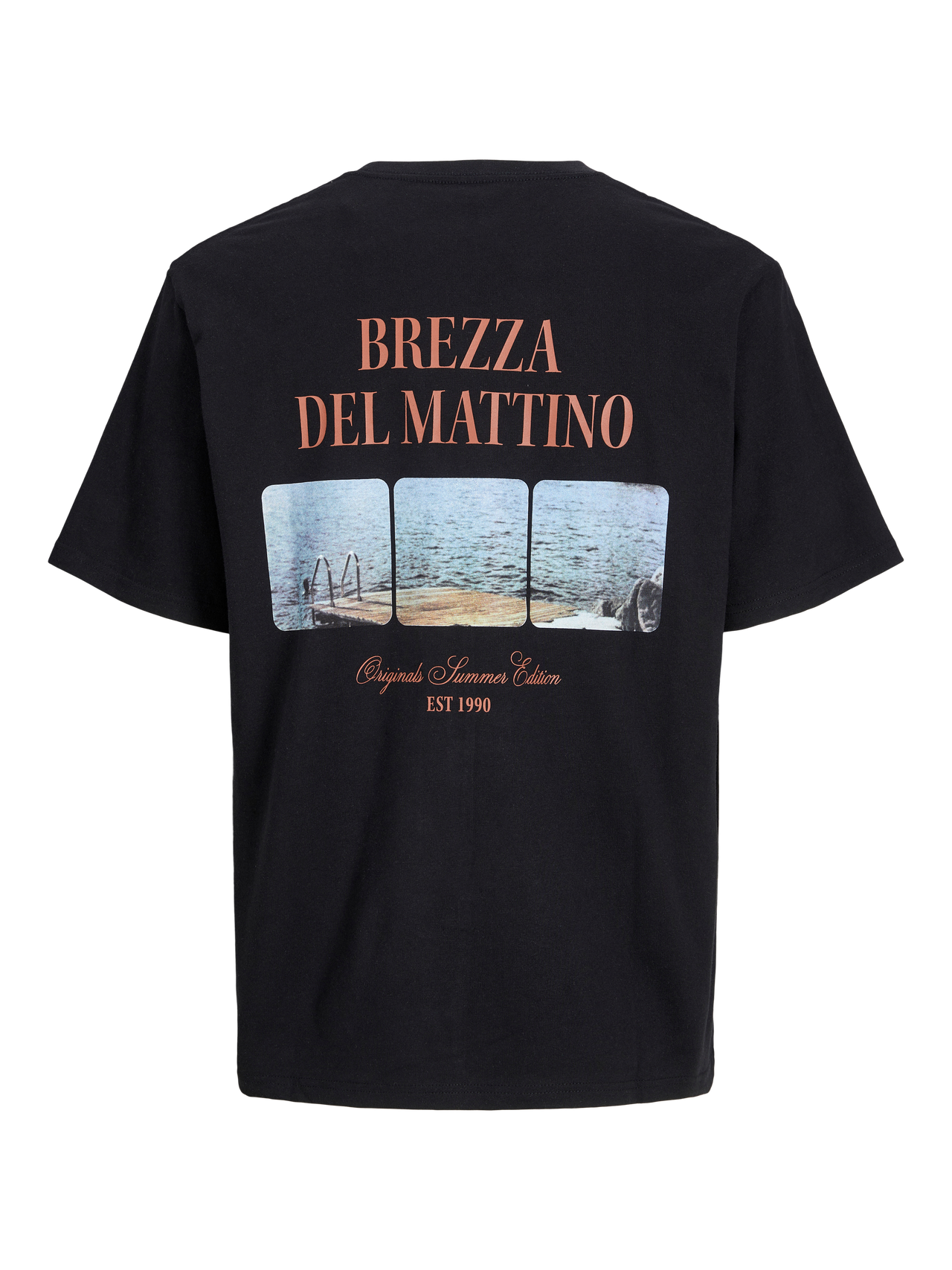 JACK & JONES JORHYDRA PHOTO TEE SS CREW NECK Freizeitshirts /-hemden JACK & JONES