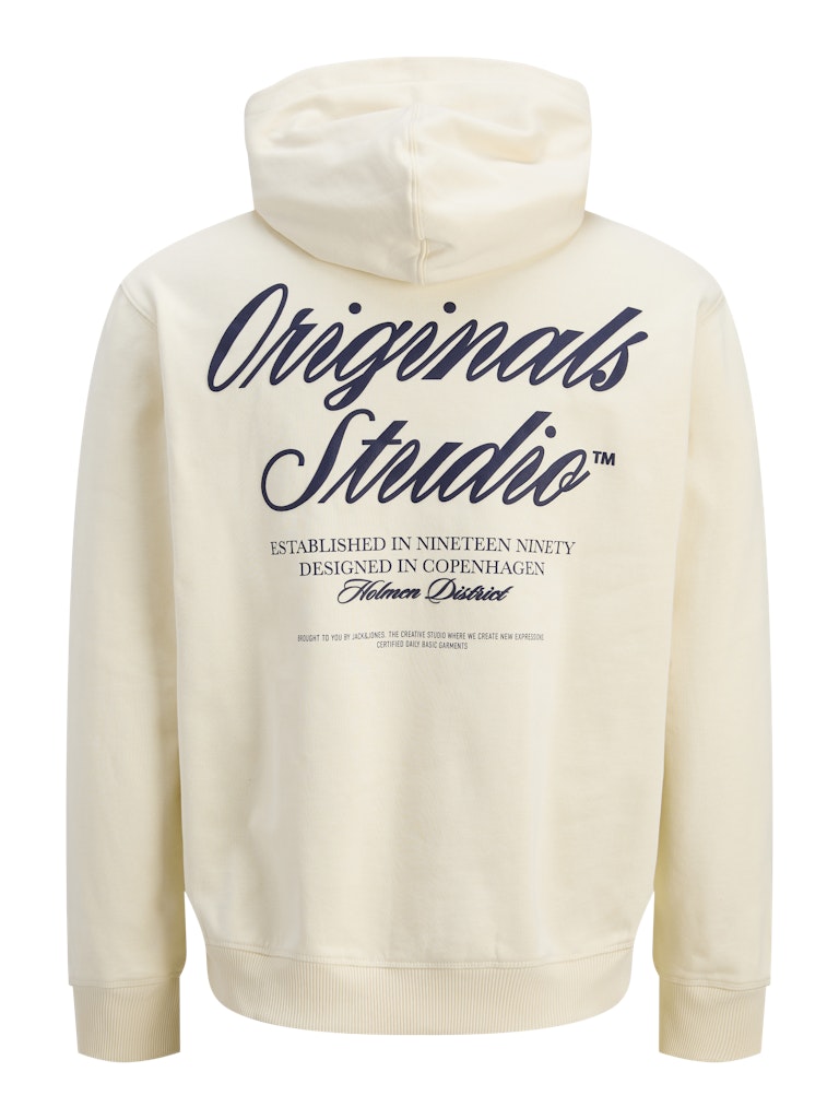 JACK & JONES JORNORREBRO TYPO BACK SWEAT HOOD SN Freizeitpullover JACK & JONES