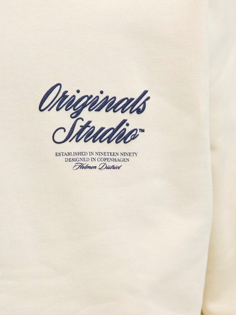 JACK & JONES JORNORREBRO TYPO BACK SWEAT HOOD SN Freizeitpullover JACK & JONES