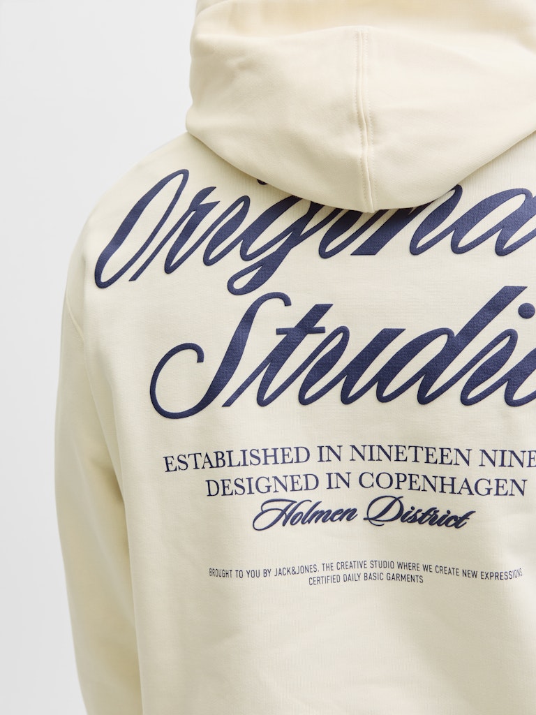 JACK & JONES JORNORREBRO TYPO BACK SWEAT HOOD SN Freizeitpullover JACK & JONES