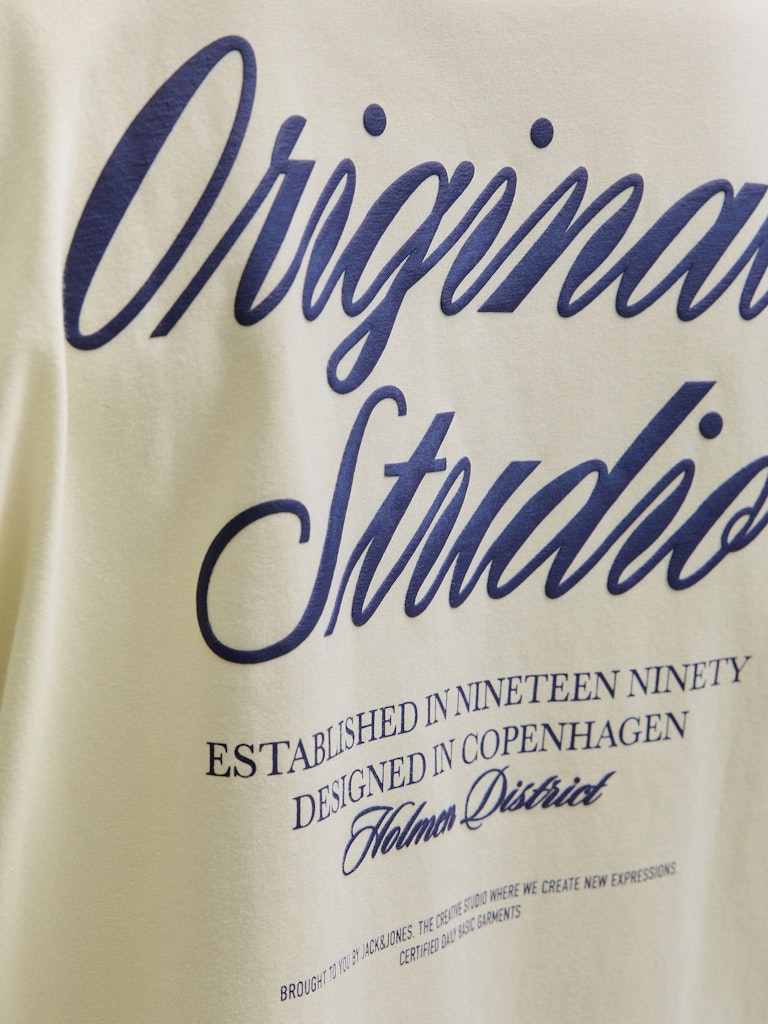 JACK & JONES JORNORREBRO TYPO TEE SS CREW NECK N Freizeitshirts /-hemden JACK & JONES