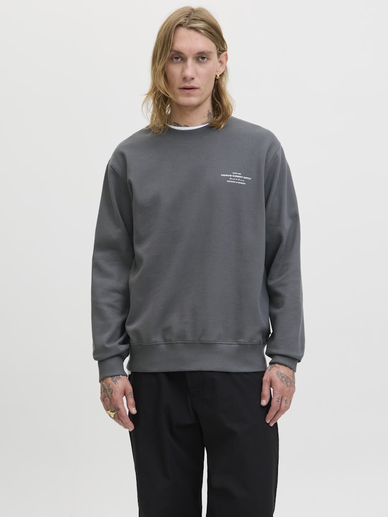 JACK & JONES JPRBLACHAD BRANDING SWEAT CREW NECK Freizeitpullover JACK & JONES