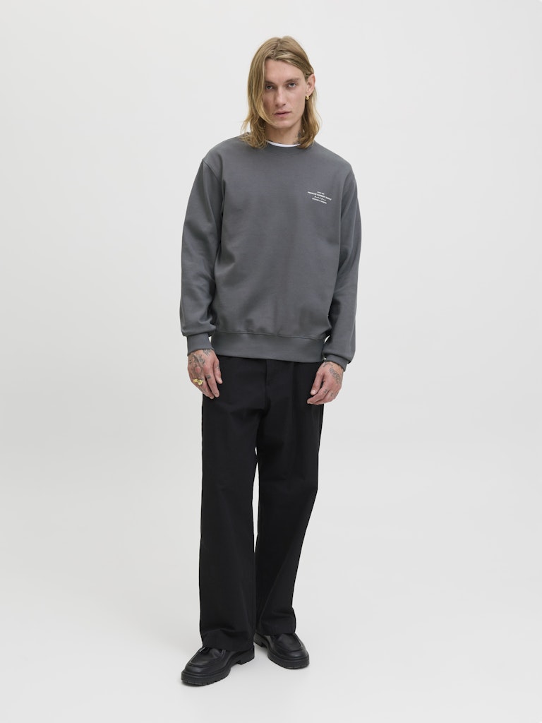 JACK & JONES JPRBLACHAD BRANDING SWEAT CREW NECK Freizeitpullover JACK & JONES