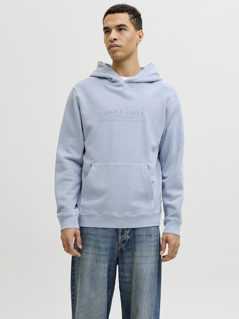 JACK & JONES JPRBLUAIDEN HOOD SWEAT Freizeitpullover JACK & JONES
