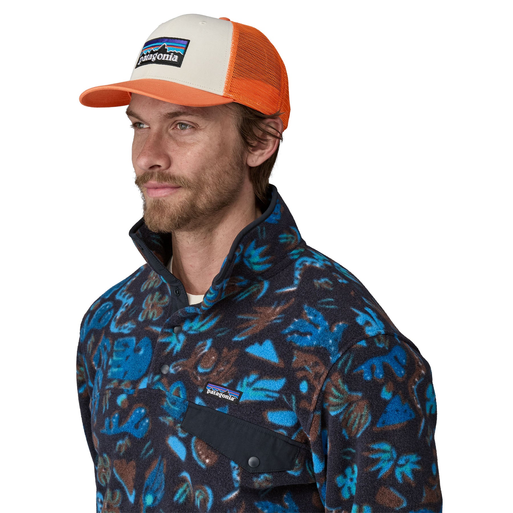 PATAGONIA P-6 Logo Trucker Hat WHRL Caps PATAGONIA
