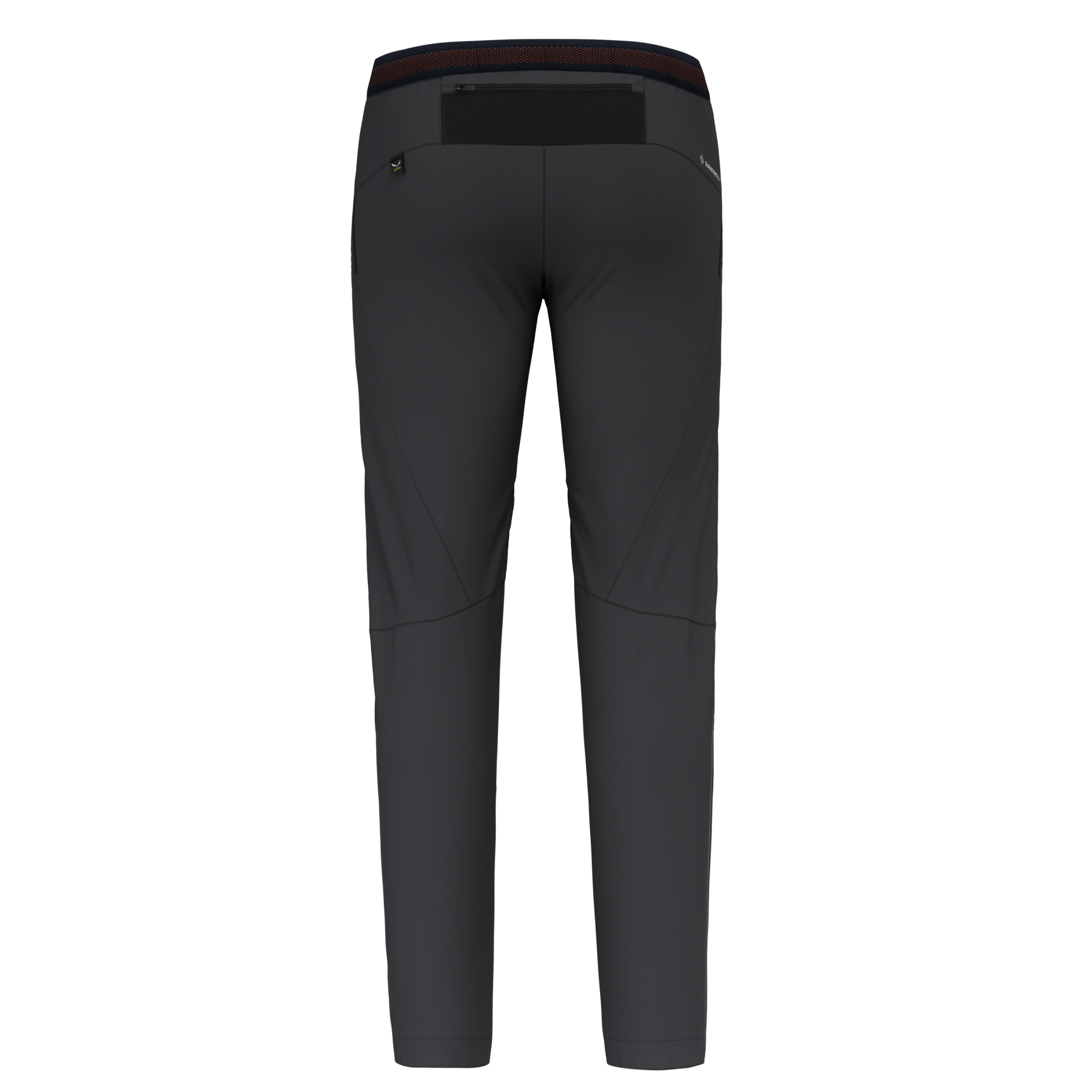 SALEWA PEDROC 4 DST M REG PANTS Wanderhosen SALEWA