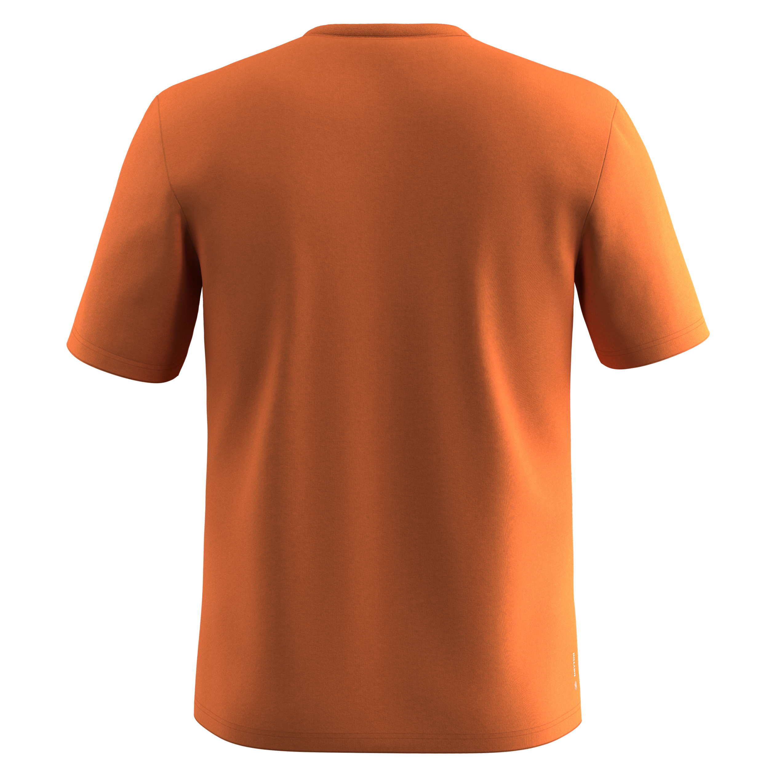 SALEWA SOLIDLOGO DRY M T-SHIRT. Wandershirts /-hemden SALEWA