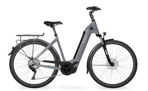 VELO DE VILLE AEB 990CXG4 PURE E-Mountainbike VELO DE VILLE - Stone Basalt 45