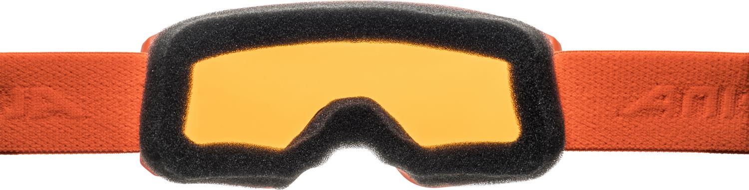 ALPINA Kinder SCARABEO JR. DH Skibrillen ALPINA