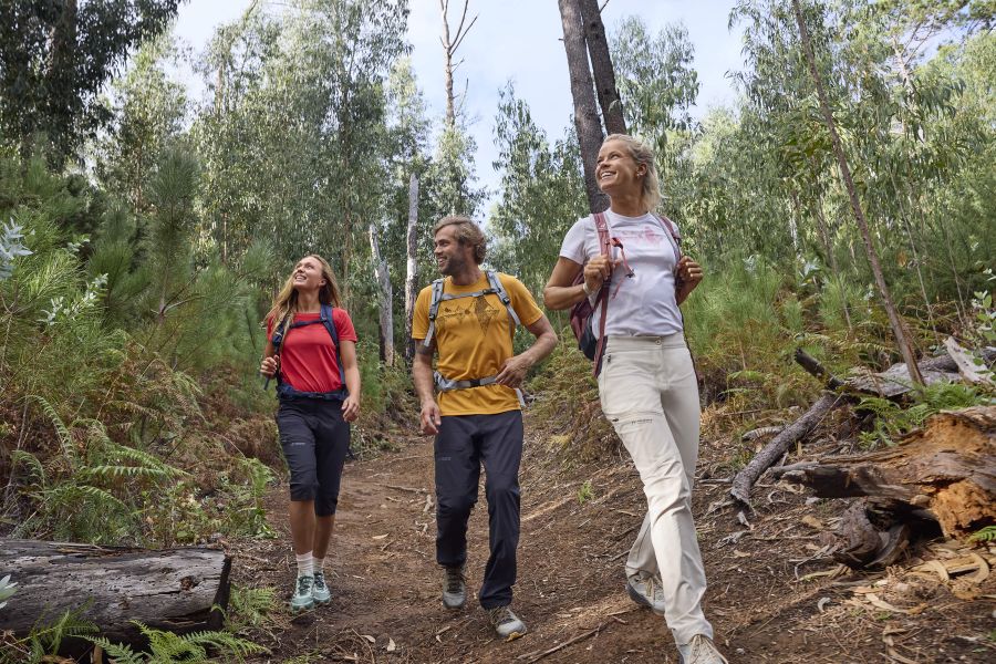 3 Personen laufen durch den Wald.