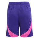 ADIDAS DFB AUSWÄRTSSHORTS 2024 KINDER Fanartikel ADIDAS