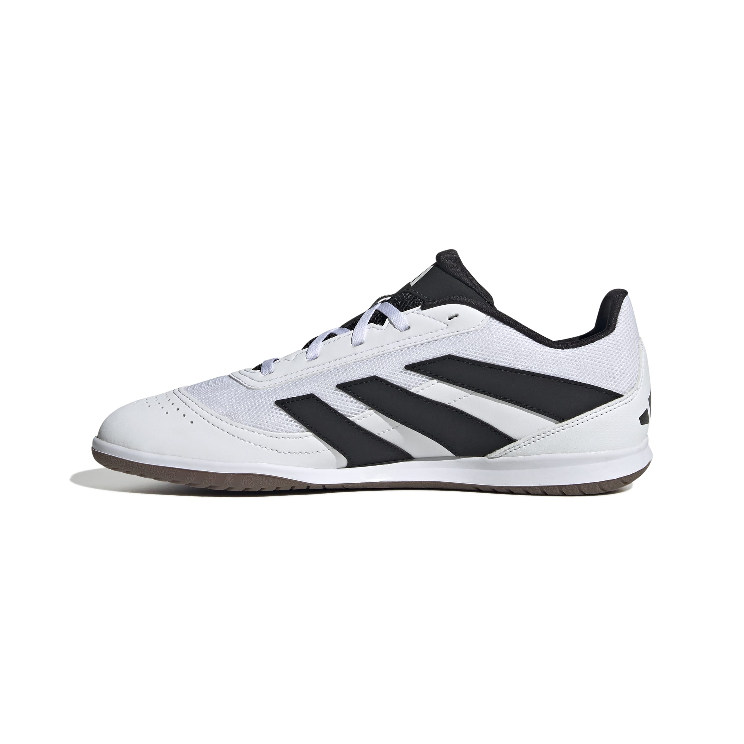 ADIDAS PREDATOR CLUB IN SALA Halle ADIDAS