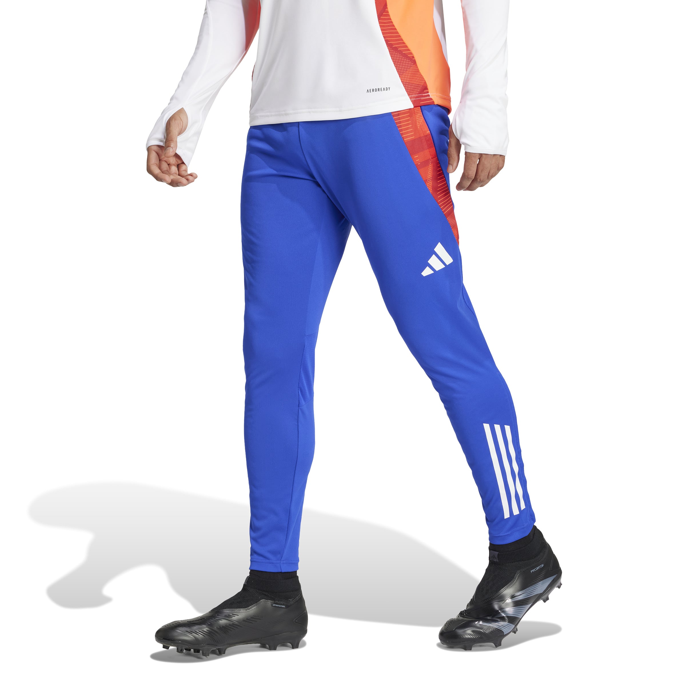 ADIDAS TIRO24 C TR PNT Fußballhosen ADIDAS