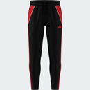 ADIDAS TIRO24 TRPNT S 000 BLACK/PURRUB Fußballhosen ADIDAS