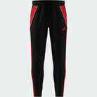 ADIDAS TIRO24 TRPNT S 000 BLACK/PURRUB Fußballhosen ADIDAS