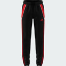 ADIDAS TIRO24 TRPNT SY 000 BLACK/PURRUB Fußballhosen ADIDAS