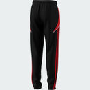 ADIDAS TIRO24 TRPNT SY 000 BLACK/PURRUB Fußballhosen ADIDAS