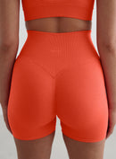 AIM´N Tangerine Shape Seamless Hotpants Trainingshosen & Jogginghosen AIM´N