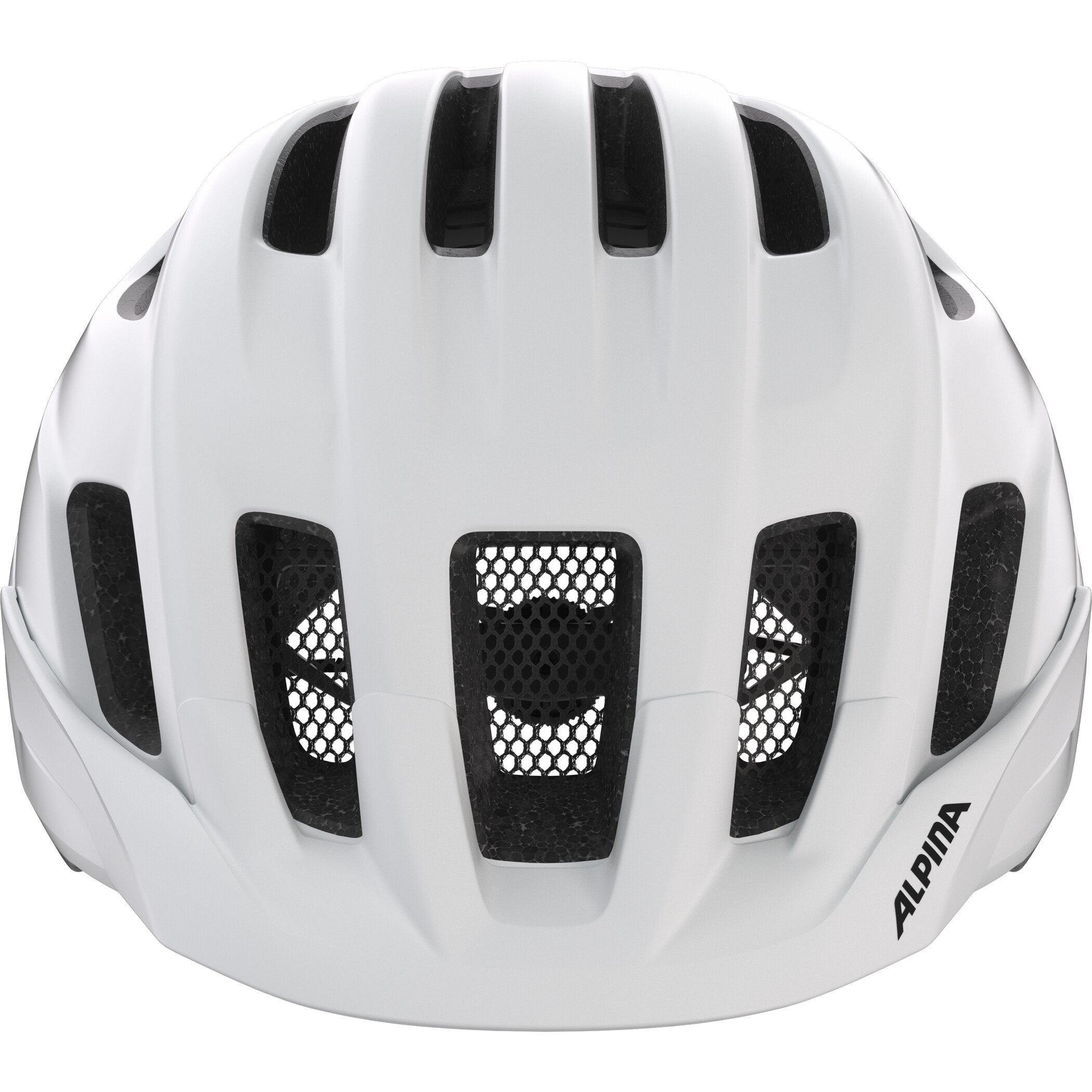 ALPINA PARANUS Fahrradhelme & Schoner ALPINA