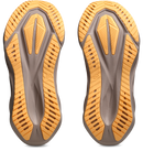 ASICS NOVABLAST 5 Dämpfung ASICS