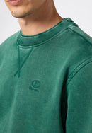 CHAMPION Crewneck Sweatshirt Freizeitpullover CHAMPION FPG S