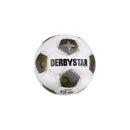 DERBYSTAR Brillant Miniball v25 Fußbälle DERBYSTAR