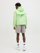 JACK & JONES JCOCNZ PARIS WINDBREAKER JACKET NOO Paradise Green/With Back Print Freizeitjacken JACK & JONES
