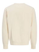 JACK & JONES JJEDOVER PRINT SWEAT CREW NECK Freizeitpullover JACK & JONES