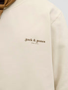 JACK & JONES JJEDOVER PRINT SWEAT CREW NECK Freizeitpullover JACK & JONES