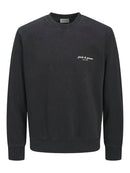 JACK & JONES JJEDOVER PRINT SWEAT CREW NECK Freizeitpullover JACK & JONES 178012 S