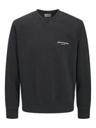 JACK & JONES JJEDOVER PRINT SWEAT CREW NECK Freizeitpullover JACK & JONES 178012 S