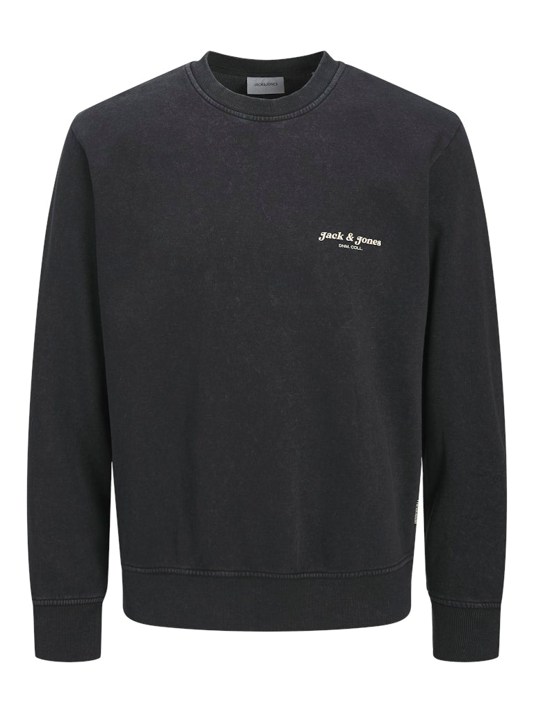 JACK & JONES JJEDOVER PRINT SWEAT CREW NECK Freizeitpullover JACK & JONES 178012 S