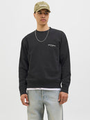 JACK & JONES JJEDOVER PRINT SWEAT CREW NECK Freizeitpullover JACK & JONES