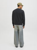 JACK & JONES JJEDOVER PRINT SWEAT CREW NECK Freizeitpullover JACK & JONES