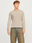 JACK & JONES JJEGLOBE KNIT CREW NECK NOOS Freizeitpullover JACK & JONES