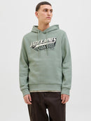 JACK & JONES JJELOGO SWEAT HOOD 2 COL 25/26 NOOS Freizeitpullover JACK & JONES
