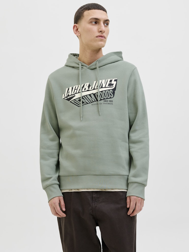 JACK & JONES JJELOGO SWEAT HOOD 2 COL 25/26 NOOS Freizeitpullover JACK & JONES