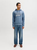 JACK & JONES JJELOGO SWEAT HOOD 2 COL 25/26 NOOS Freizeitpullover JACK & JONES