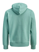 JACK & JONES JJELOGO SWEAT HOOD 2 COL 25/26 NOOS Freizeitpullover JACK & JONES
