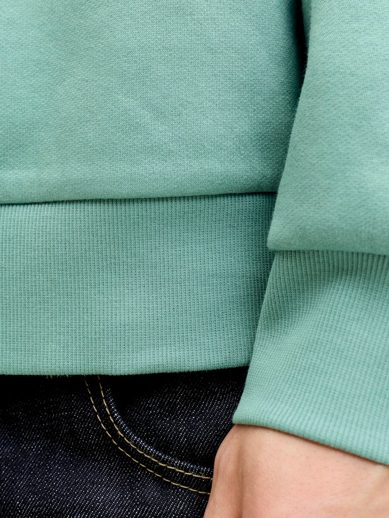 JACK & JONES JJELOGO SWEAT HOOD 2 COL 25/26 NOOS Freizeitpullover JACK & JONES