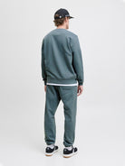 JACK & JONES JJESOHO SWEAT CREW NECK NOOS Freizeitpullover JACK & JONES